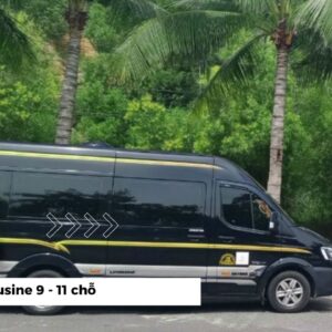 Thuê xe Limousine 9 và 11 chỗ