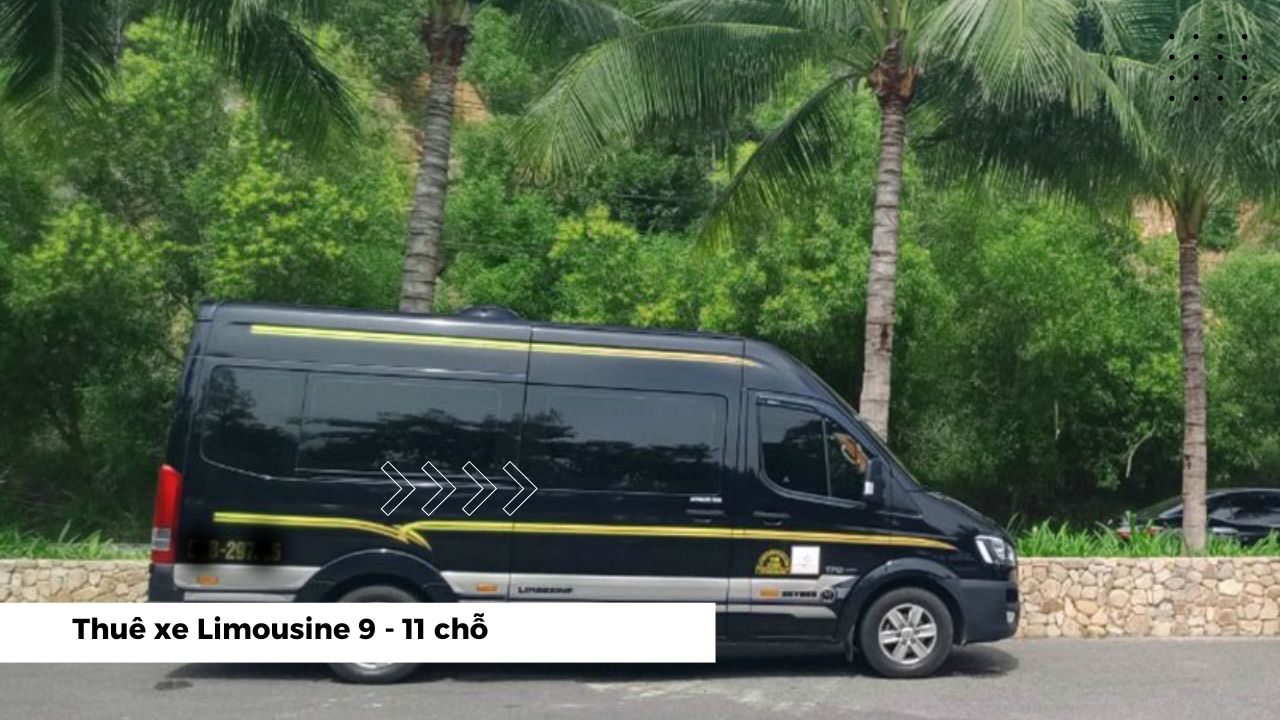 Thuê xe Limousine 9 và 11 chỗ